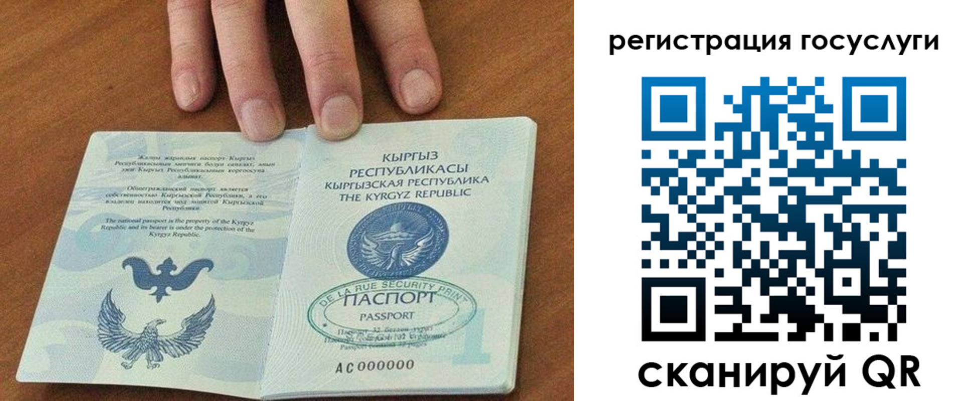прописка ребенка в Звенигово